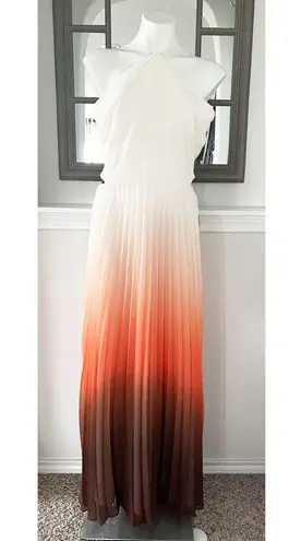 Rachel Roy Cut Out Zippered Pleated Ombré Maxi Dress Size 14 New w/Tag MSRP $169