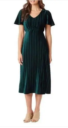 Briggs New York Briggs Ladies Pleated Velvet Dress NWT