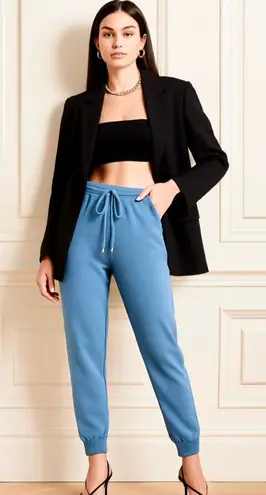 Stella McCartney Julia Virgin Wool Jogger Sweatpants Dusty Blue – Sz M💛