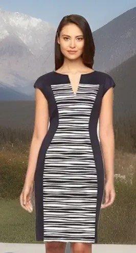 Connected Apparel Chic Women's Texture Striped Sheath Dress Sz 12 Sweet