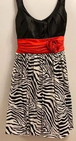 City Triangles  Zebra Printed Juniors Dress