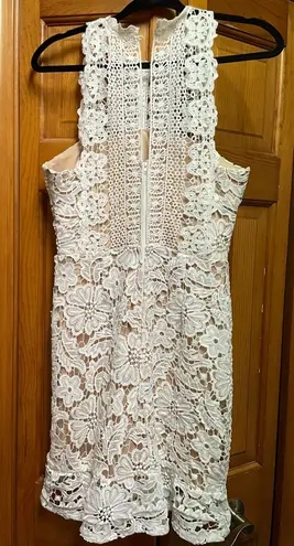 Francesca's Lace Dress