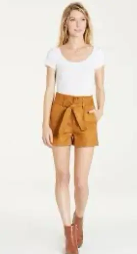 Dear John Suede Shorts