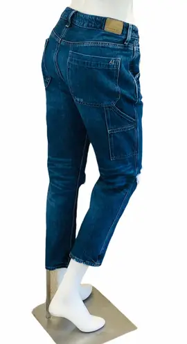 American Eagle  Distressed Jeans Size 6 Short