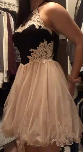 Windsor Blush and Black Dress (homecoming dress)