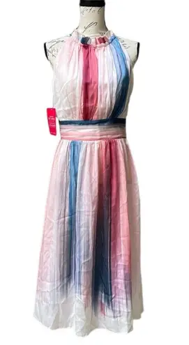 Little Mistress Ombré Stripe Pleated Printed Midi Dress - 6