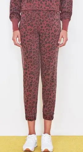 Sundry  Leopard Print Cuff Joggers Sweatpants Bottoms Pigment Spice 2 8 10 M