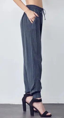 Maven West | Large | Silky Wash 100% Cupro Drawstring Jogger Pants in Gray