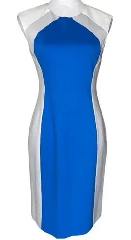 Catherine Malandrino Colorblock Bodycon Sleeveless Back Cut out Zippered Size 6