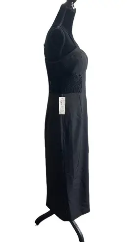 Bardot Lace Panel Evening Cocktail Dress