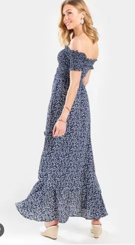 Francesca's Blue Floral Maxi Dress