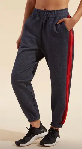 Bandier LNDR Navy Horizon Track Pants / Joggers