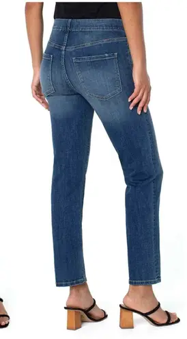 Liverpool Jeans Company Stitch Fix Liverpool Chloe Pull-On Slim Jean In Westchester Size 26/2
