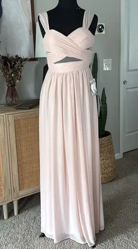 Birdy Grey Dusty Rose Pink Chiffon Full Length Mesh Cutout Elyse Dress