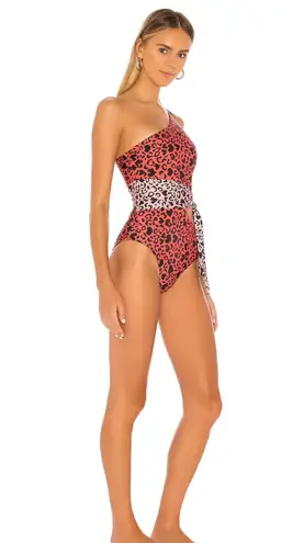 Beach Riot One Piece Leopard Swim