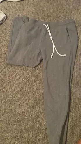 Wild Fable Target Gray Sweatpants