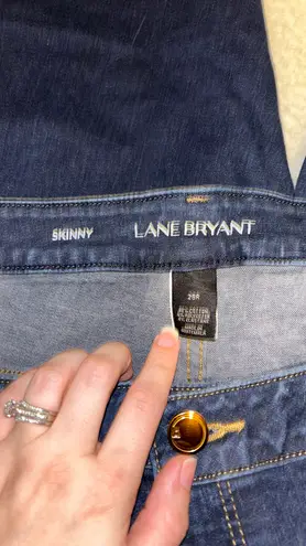 Lane Bryant Skinny Jeans Size 26