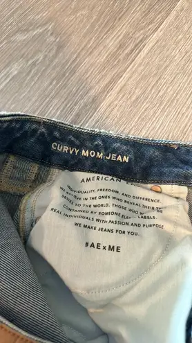 American Eagle Outfitters Curvy Mom Jeans