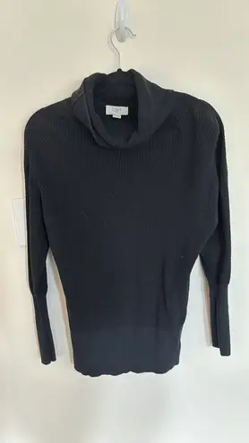 Loft Outlet Turtleneck