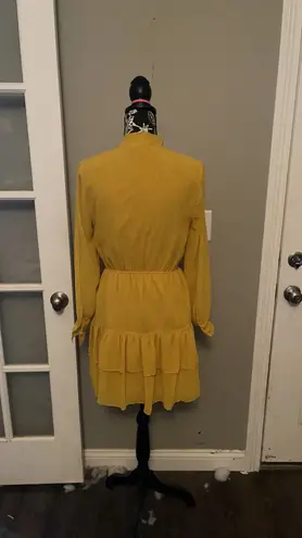 BB Dakota Dress