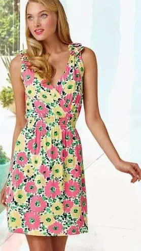 Lilly Pulitzer  Belline Resort Doodle Bug Sleeveless Floral Dress - L