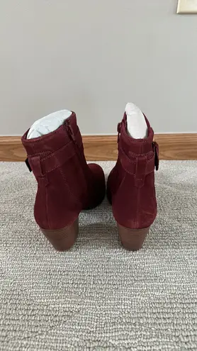 Diba True NWT Diba burgundy sleek buckle bootie Size 7