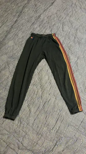 Aviator Nation Sweat Pants