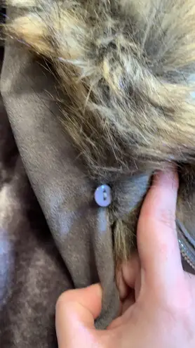 EUC Bellivera grey faux suede leather jacket with removable collar size large Gray