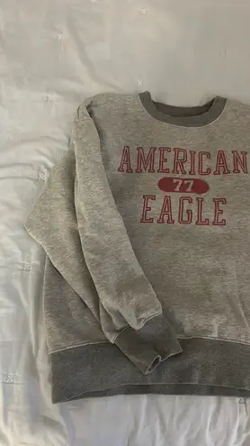 American Eagle Outfitters Crewneck