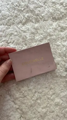 Coccinelle Green And White Bag