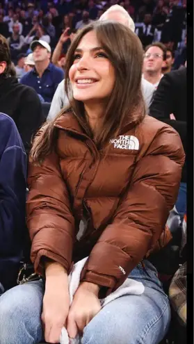 NorthFace 700 Brown Puffer Size M