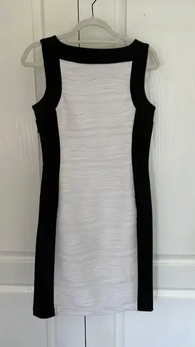 Calvin Klein Black And White Dress