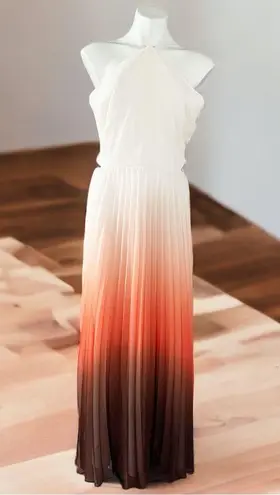 Rachel Roy Cut Out Zippered Pleated Ombré Maxi Dress Size 14 New w/Tag MSRP $169