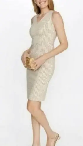 J. McLaughlin Tan Paulson Gingham Dress size 10