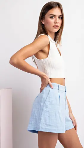 ee:some Periwinkle High Rise Button Front Shorts