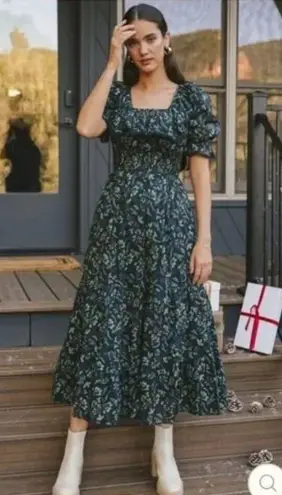 💕IVY CITY CO💕 Gracie Dress ~ Holly Print XXS NWT Green