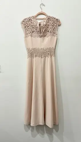 L.K. Bennett Selene Lace & Crepe Cap Sleeve Fit & Flare Midi Dress Blush Women 2 Pink