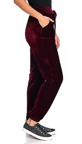 One World NWT Velvet Drawstring Waist Jogger Pants Burgundy Wine Plus Sz 2x