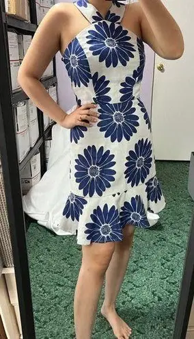 Hutch Anthropologie twiggy halter floral dress