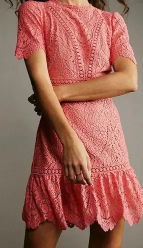 Saylor NEW Darian Open Back Lace Ruffle Minidress Dress Peach Sz Large Coquette