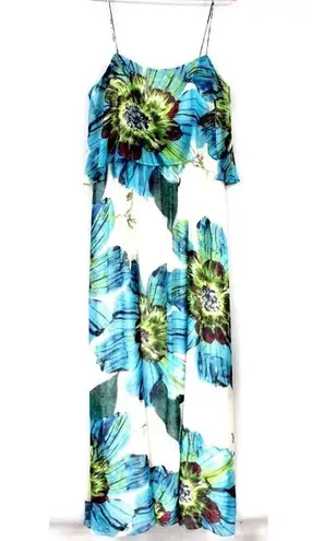 Aqua Dresses Brand Maxi Sun Dress Sheer Chiffon Huge Floral Motif NWT Sz 12