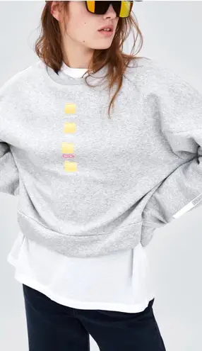 ZARA Graphic Cropped Sweater