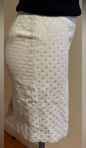 Ann Taylor Factory Ivory W Silver Vertical Strips & Dots SZ 2 Great Condition