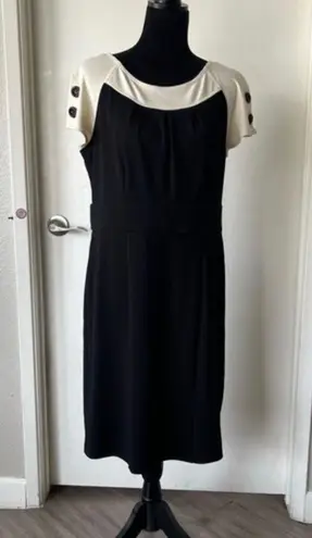 Spense Womens Short Sleeve Round Neck Knee Lenght Dress Black and Ivory Size 12