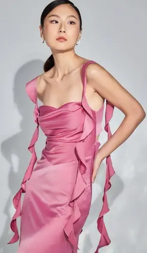 Brand New Nana Jacqueline Caroline
Dress in Magenta Pink Size Large