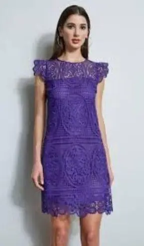 Elie Tahari Plum Lace Fit & Flare Sleeveless Dress Size 16 Elegant Design