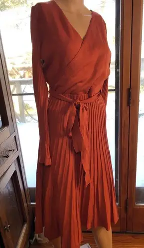 NWT Zesica Rust Pleated Long Sleeve V