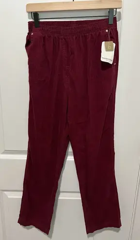 Breckenridge Women's Merlot Red Corduroy Pants - Size 6P