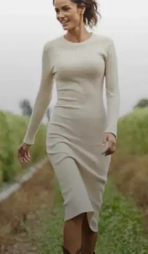 Anatomie Cream Beige Ribbed Sweater Midi Knit Dress Large Long Sleeve Sheath
