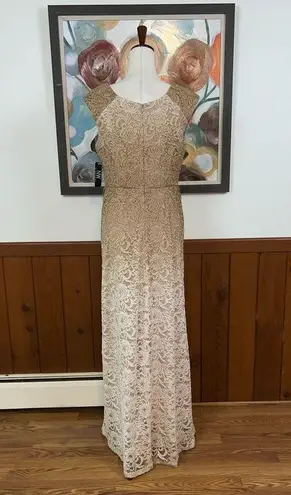 Nightway Pretty New NW Ombre Lace Mother of the Bride Gown!